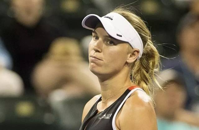 迅速掌握了 迅速掌握了