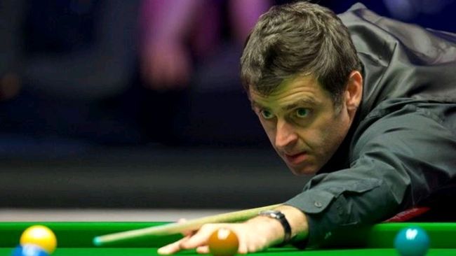 纽卡斯尔的 纽卡斯尔的